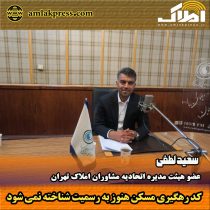 سعید لطفی ، عضو هیئت مدیره اتحادیه مشاوران املاک تهران: کد رهگیری مسکن هنوز به رسمیت شناخته نمی شود